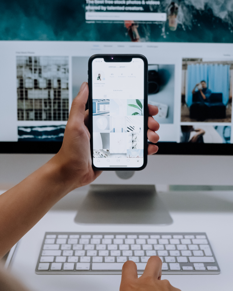 link building freelancer